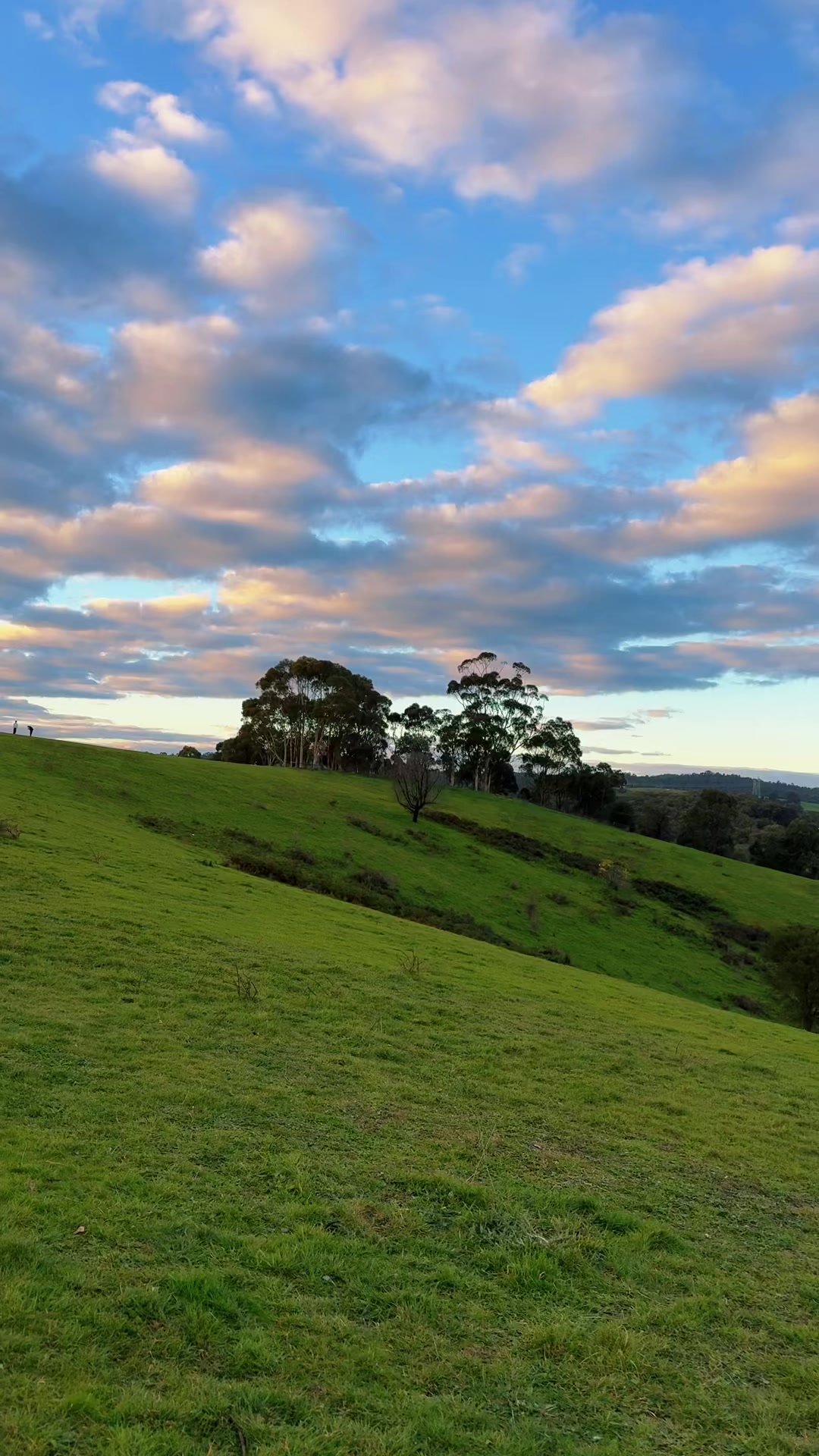 @australia_from_my_lens
