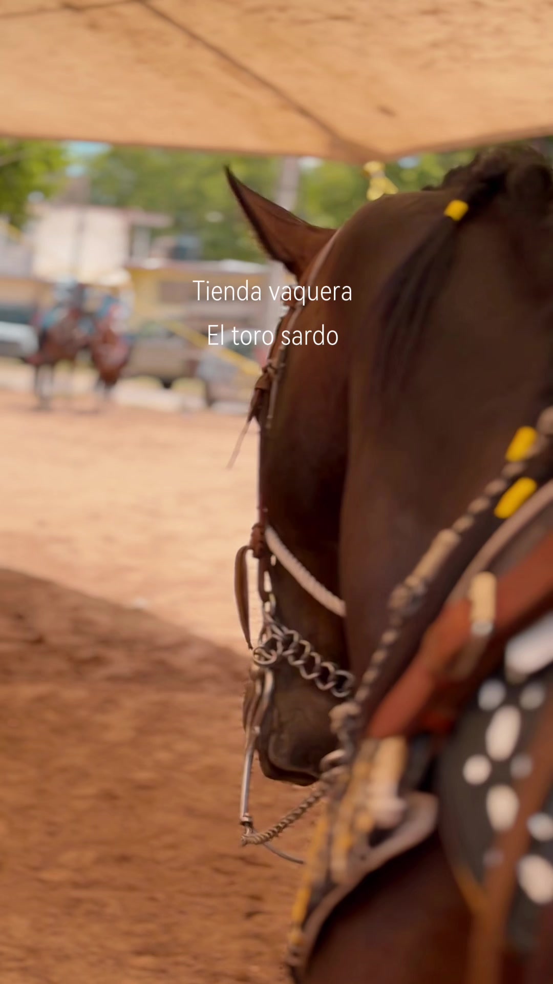 @El Toro Sardo