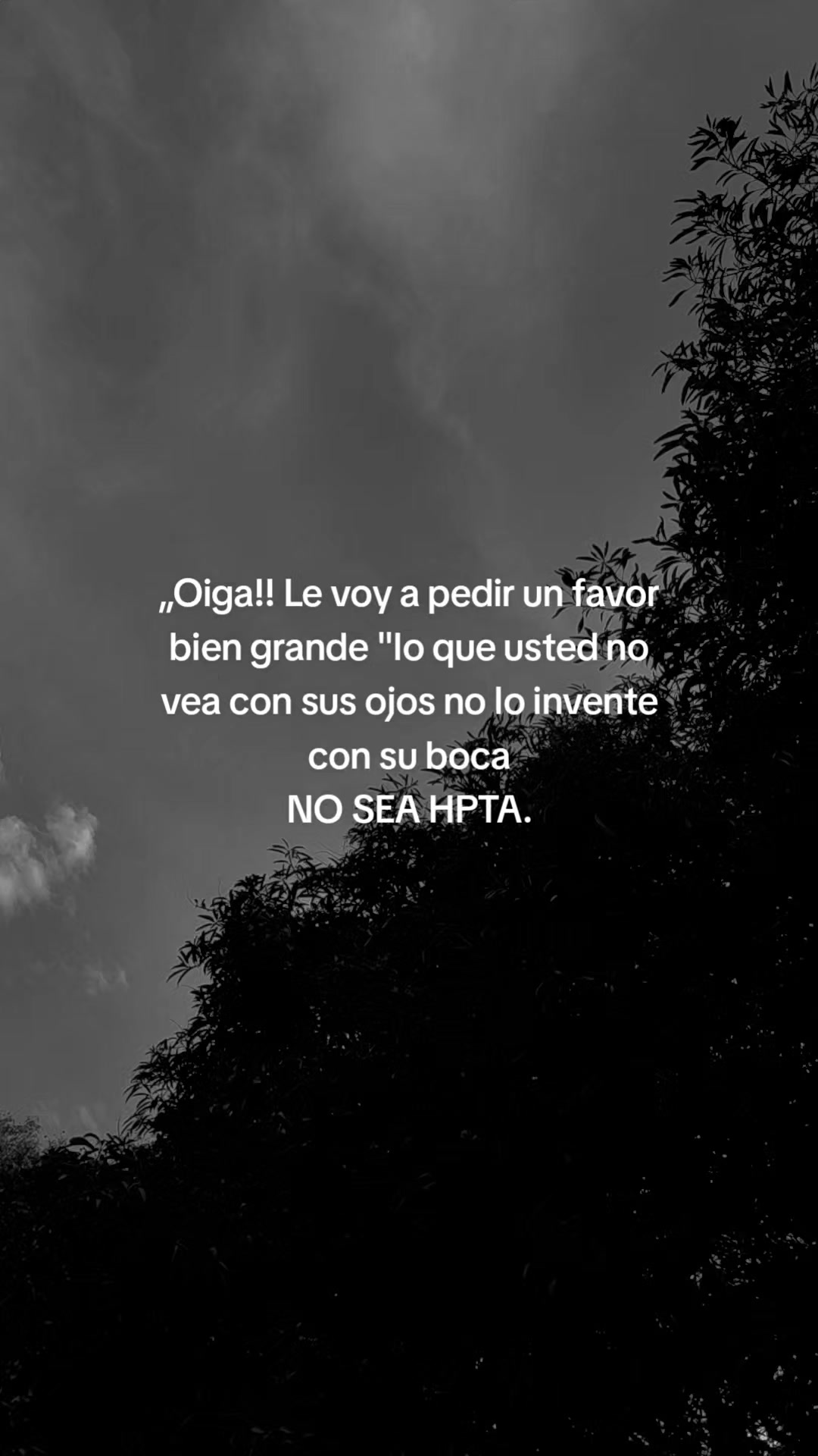 @🌸LUCHI🌸