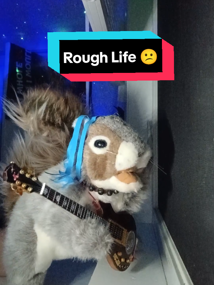 @Charles The Squirrel