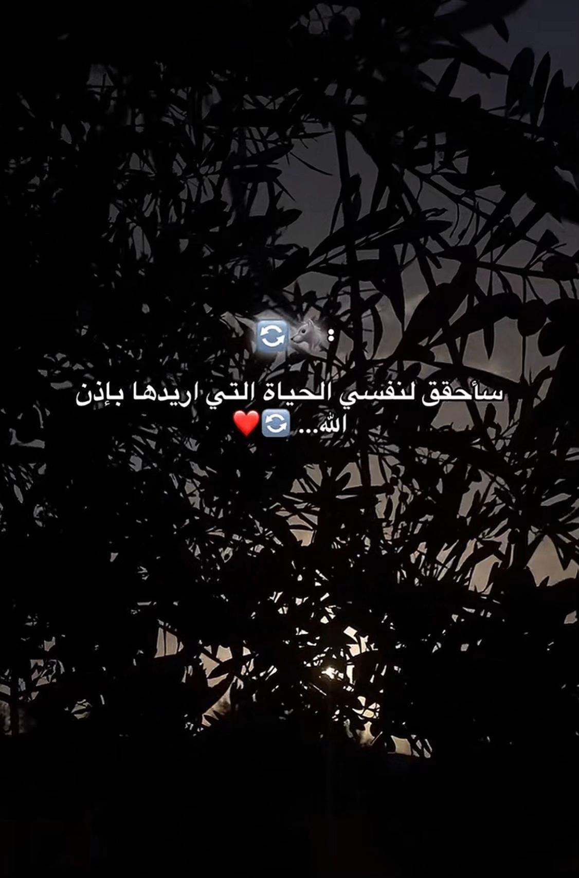 @𝐐𝐮𝐨𝐭𝐞𝐬 𝐨𝐟 𝐋𝐢𝐟𝐞 👑