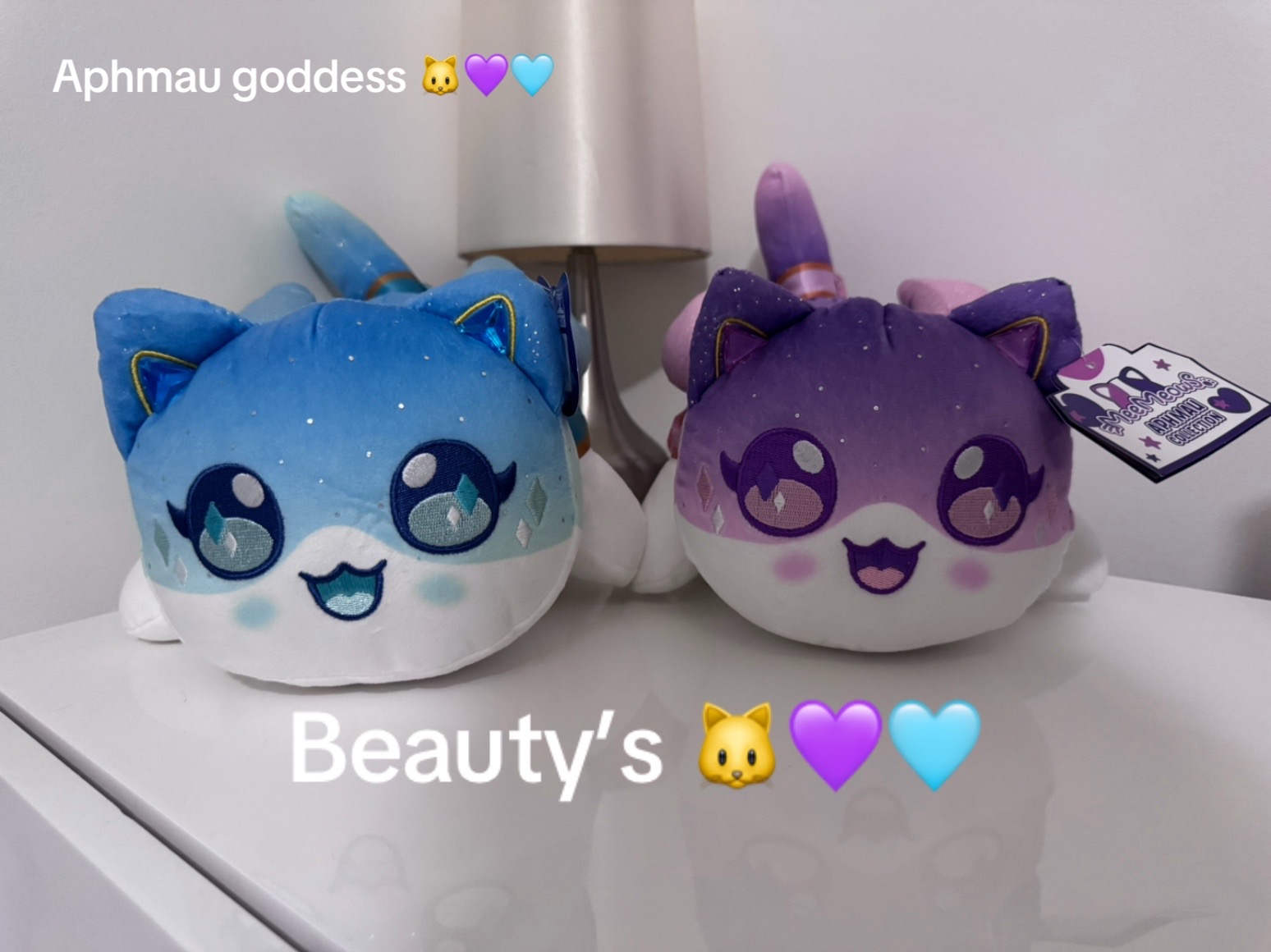 @🪻🐱.~*Amyscollections*~.🐱🪻