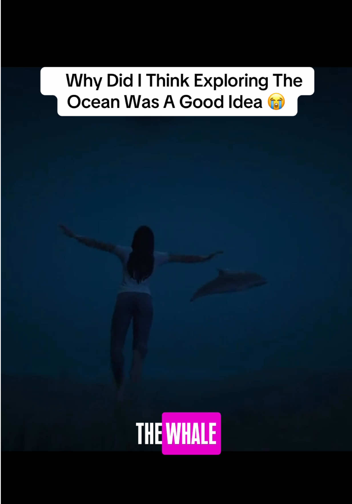 @Egypt|Content Creator