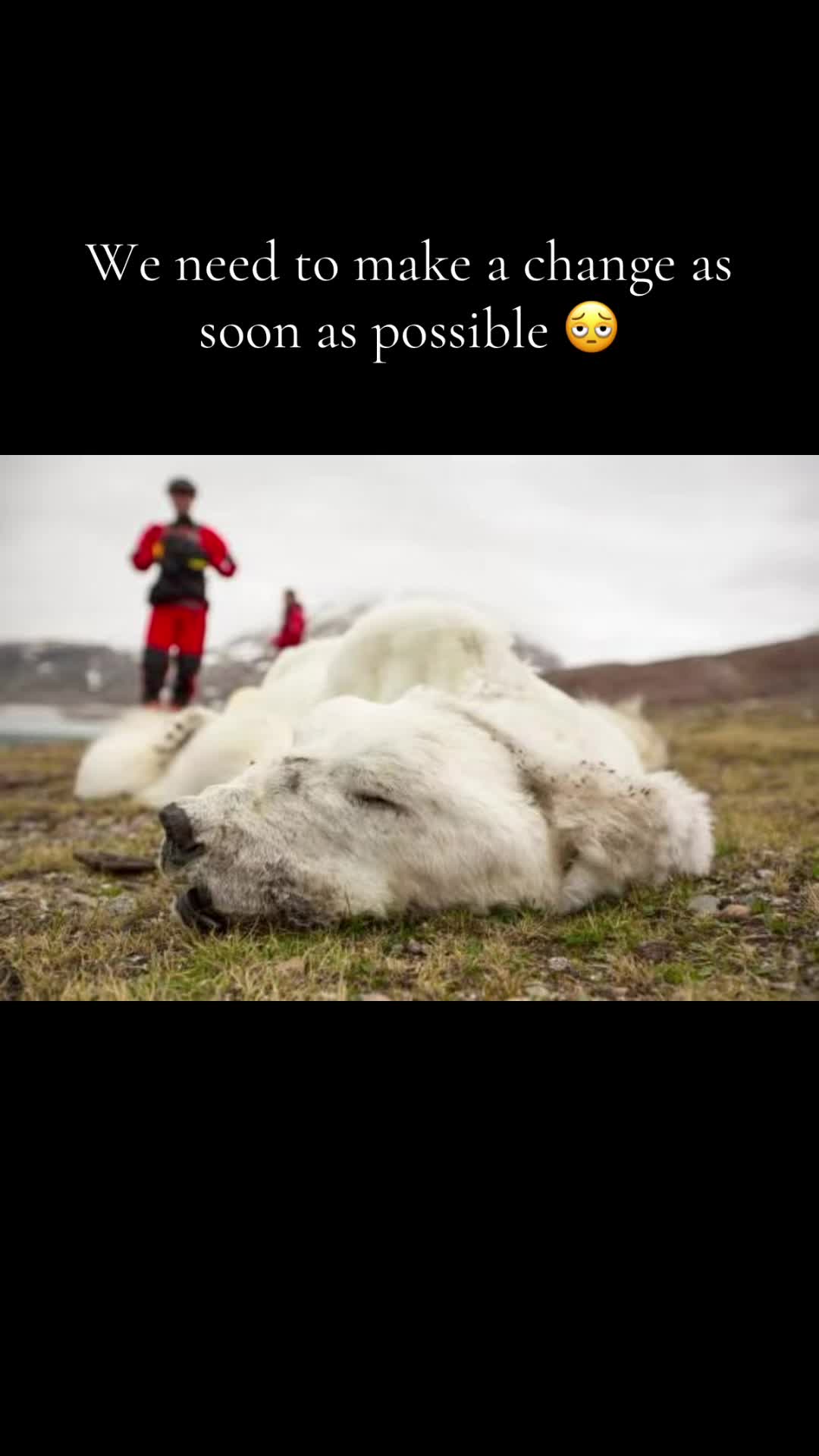 @𝓦𝓱𝓲𝓽𝓮-𝓹𝓪𝓷𝓽𝓱𝓮𝓻 🌚🌞