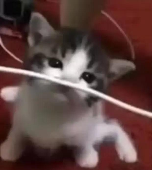 @𝑨𝒛𝒓𝒂