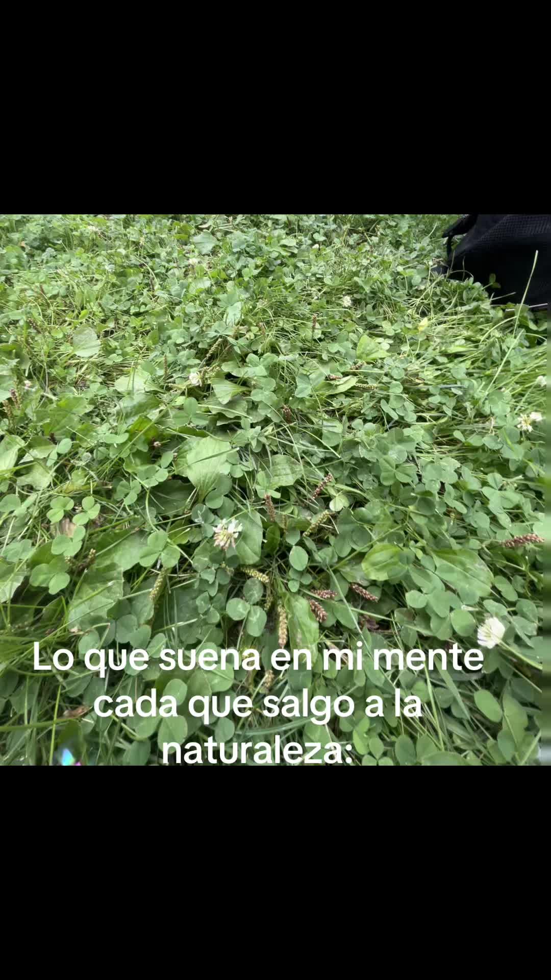 @༒ׁׅ᥎ׁׅꫀׁׅܻ݊ᥣׁׁׅ֪ׅ᥎ׁׅꫀׁׅܻ݊tׁׅ༒