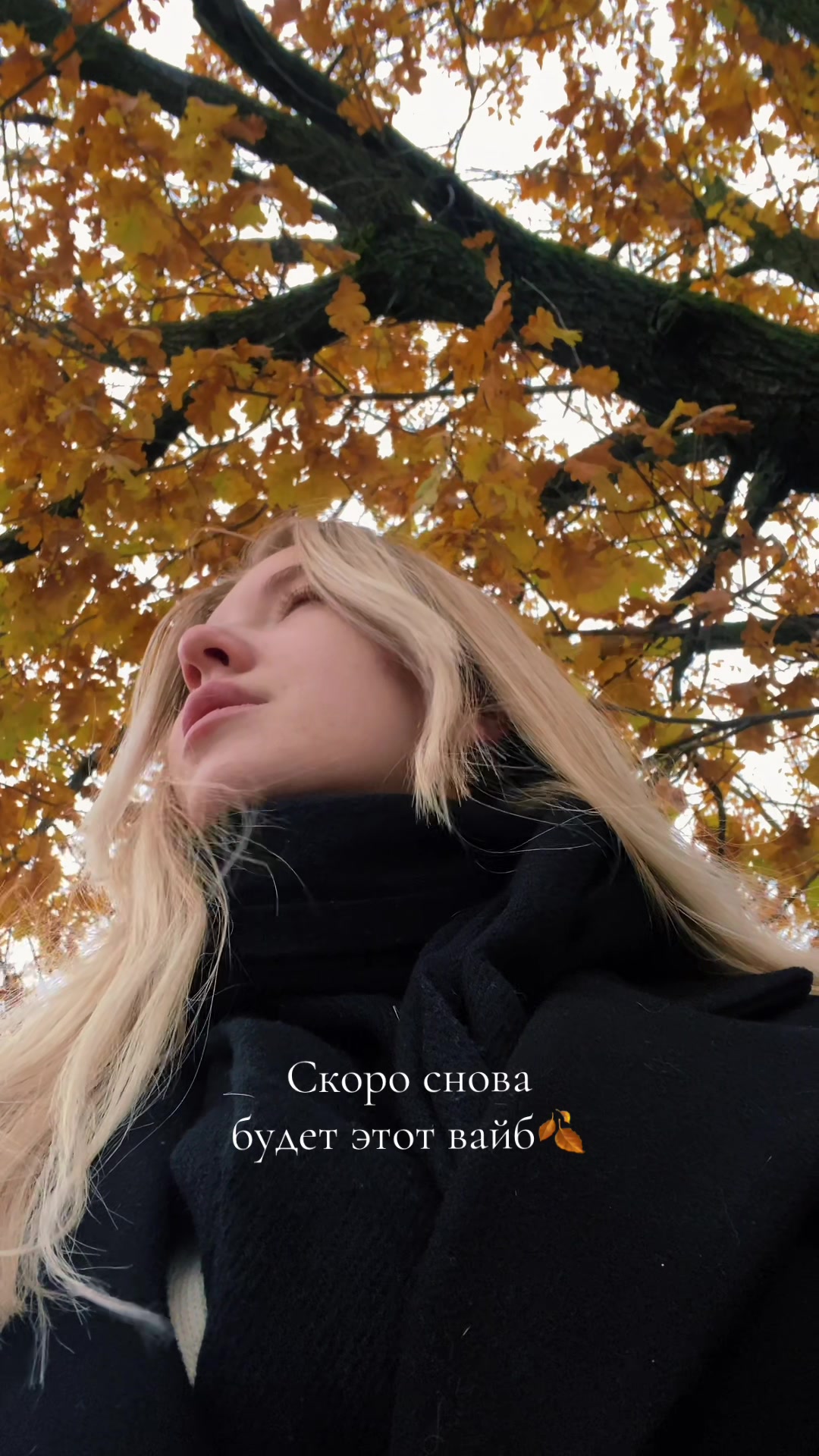 @TheNika