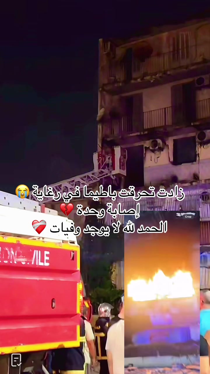 @ديزاد نيوز 🇩🇿
