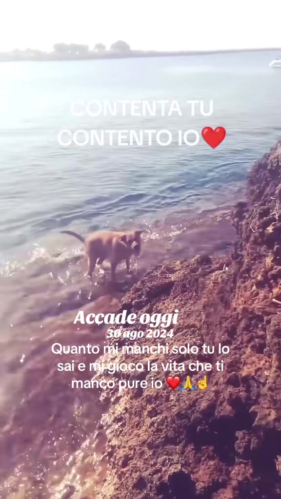 @Francesco Andriola Gee