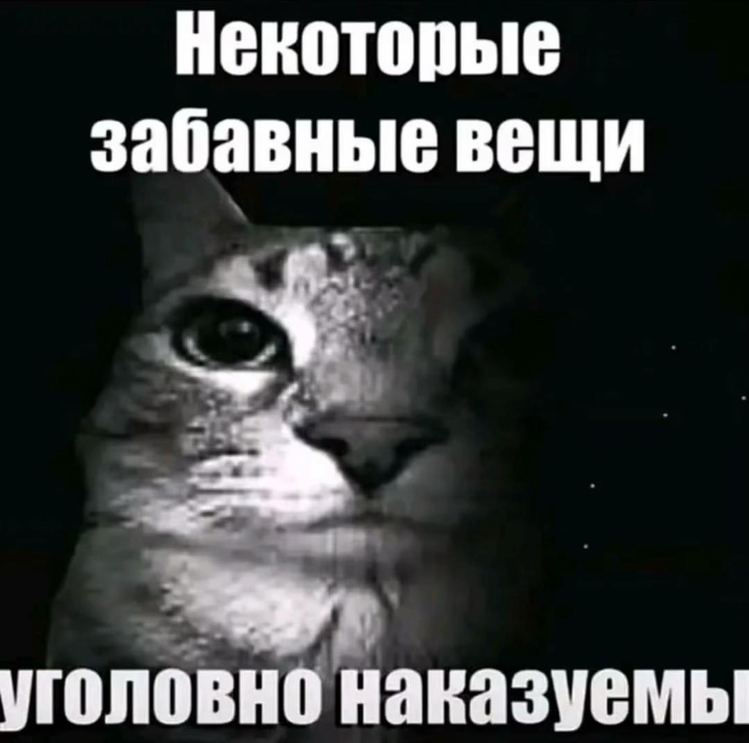 @Бенчик ❌