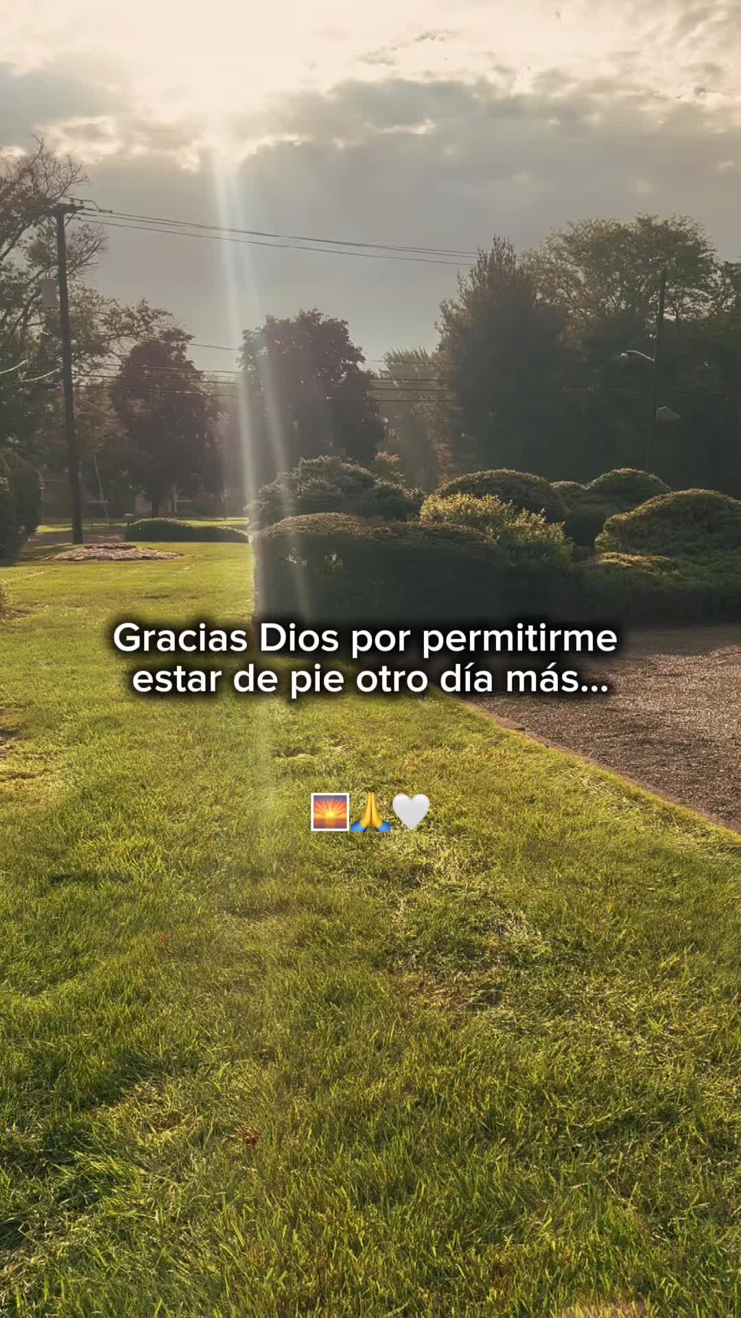 @Guerrero Supremo