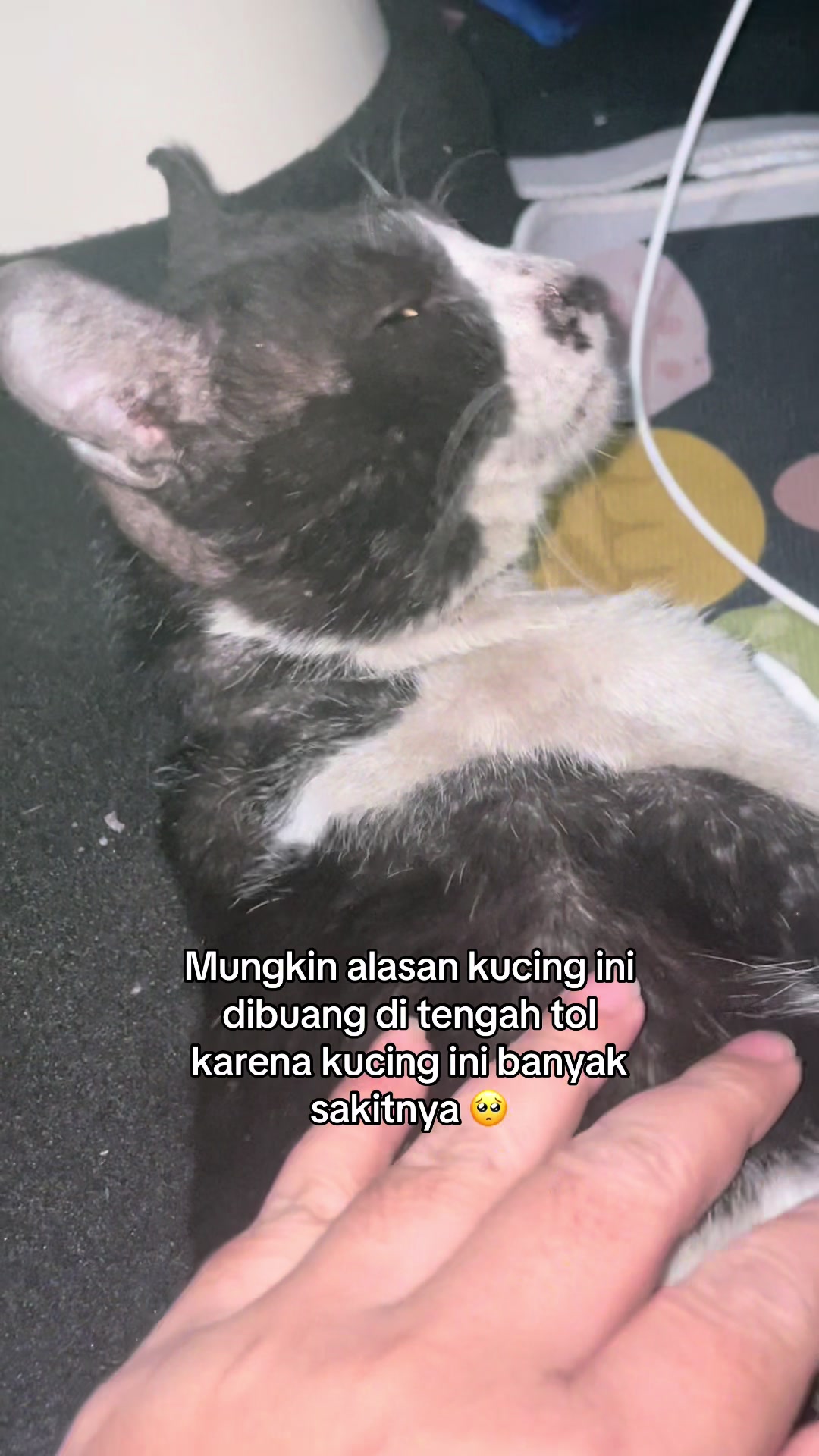 @Mommy, Eyon & Oyenz