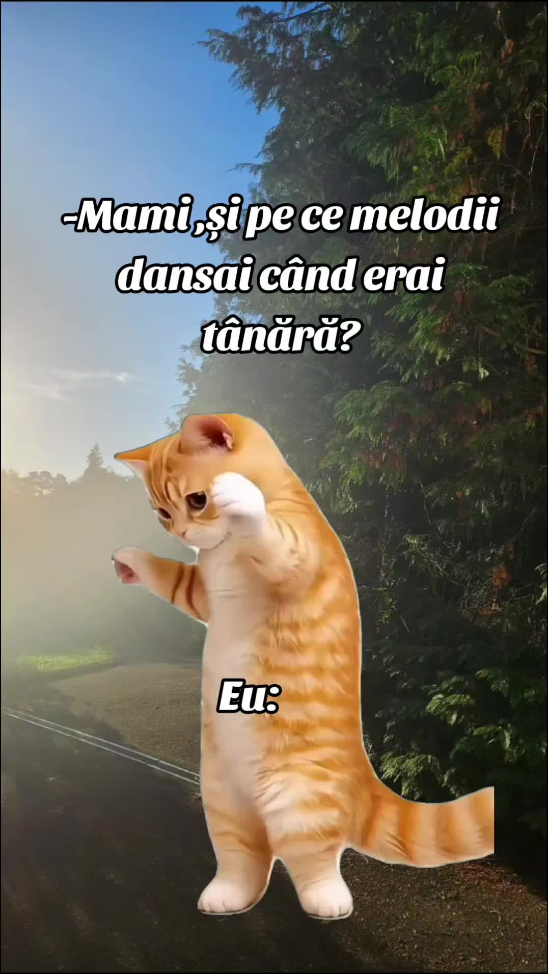 @user84310658320