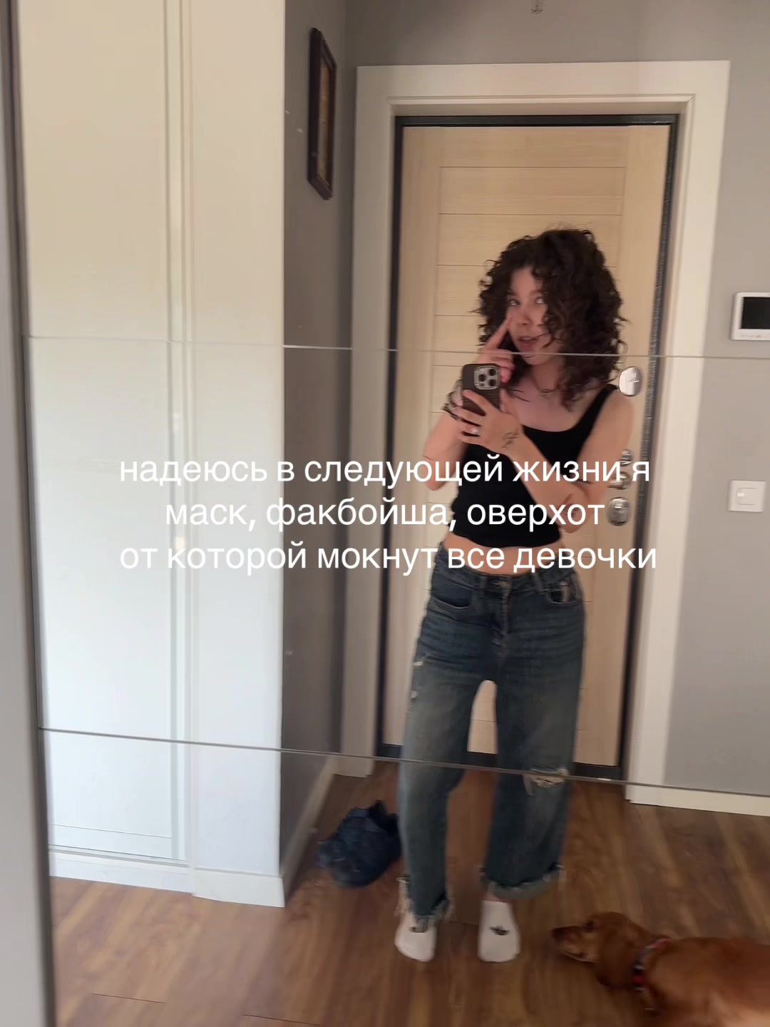 @kamila.tss