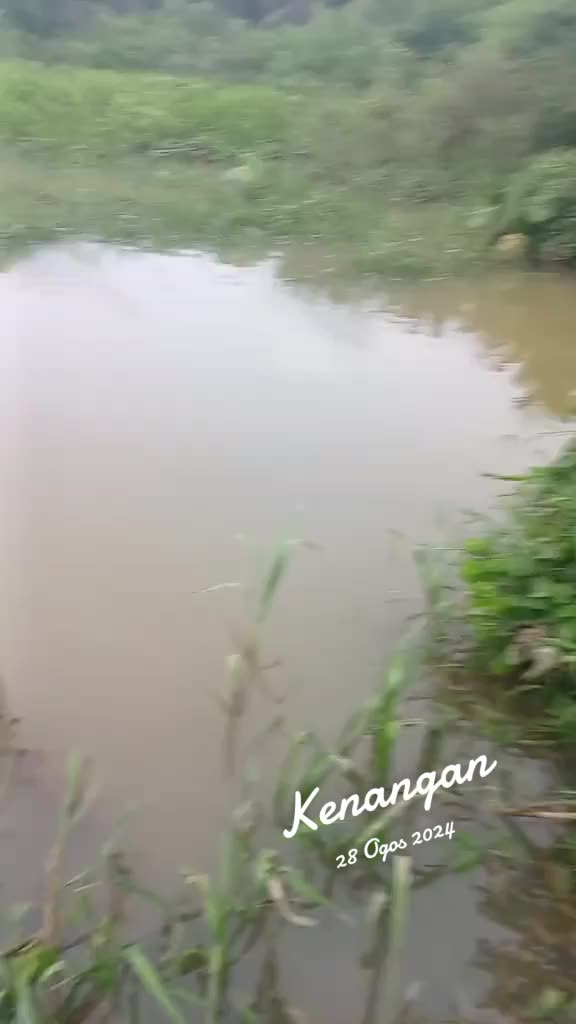 @Toman_Rimba_ll