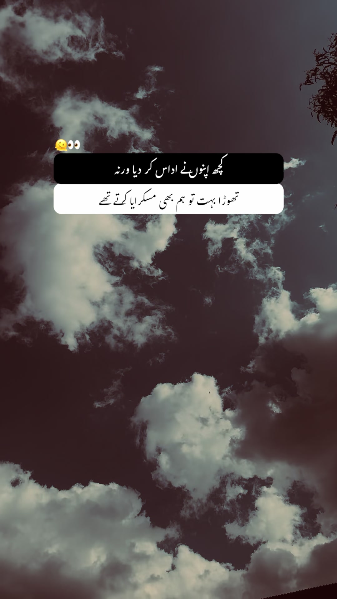 @𝐖𝚯𝐋𝐅 🐺
