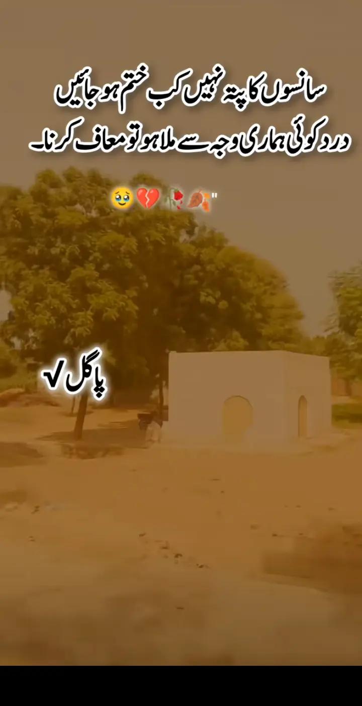 @Kashmiri Raja
