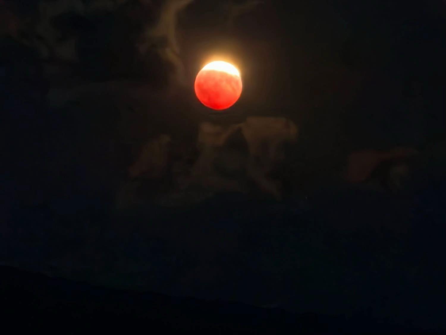 @savenaturesaveearth0