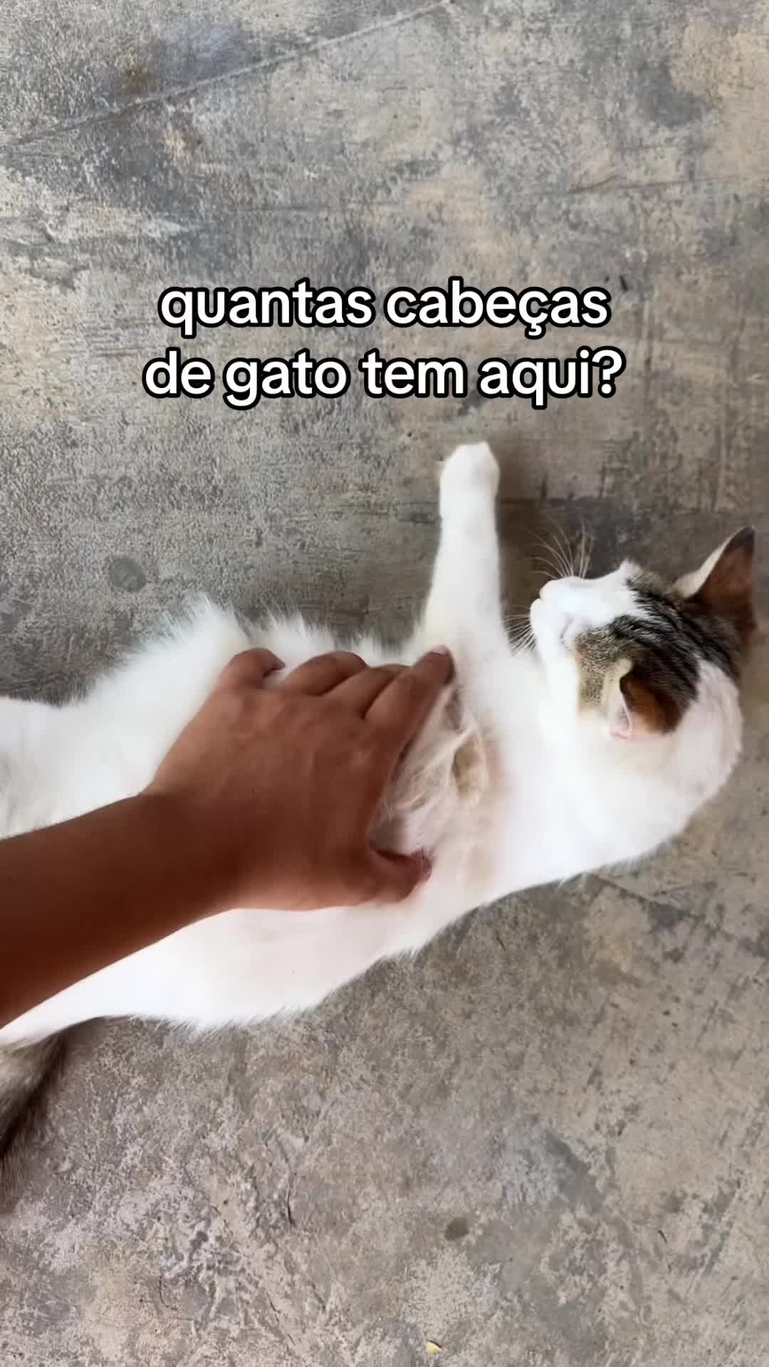 @biasaleszs