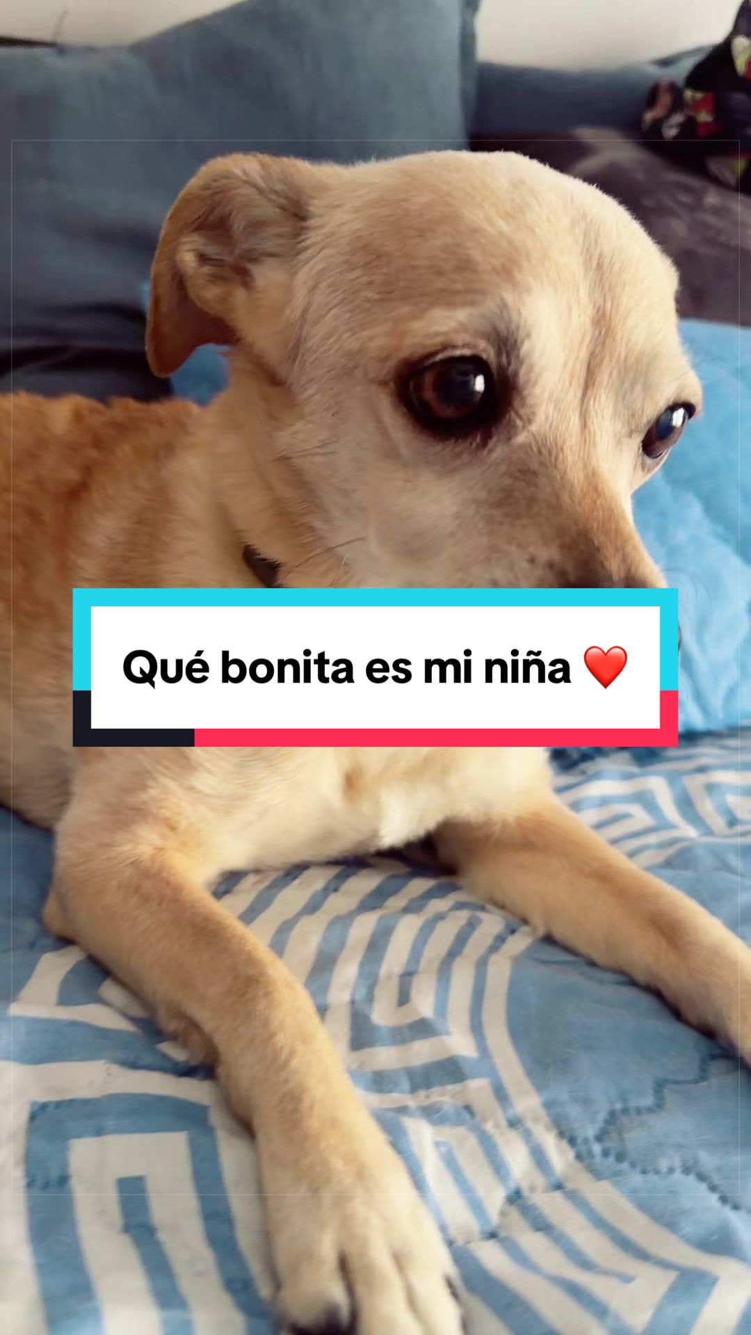 @liobcn7
