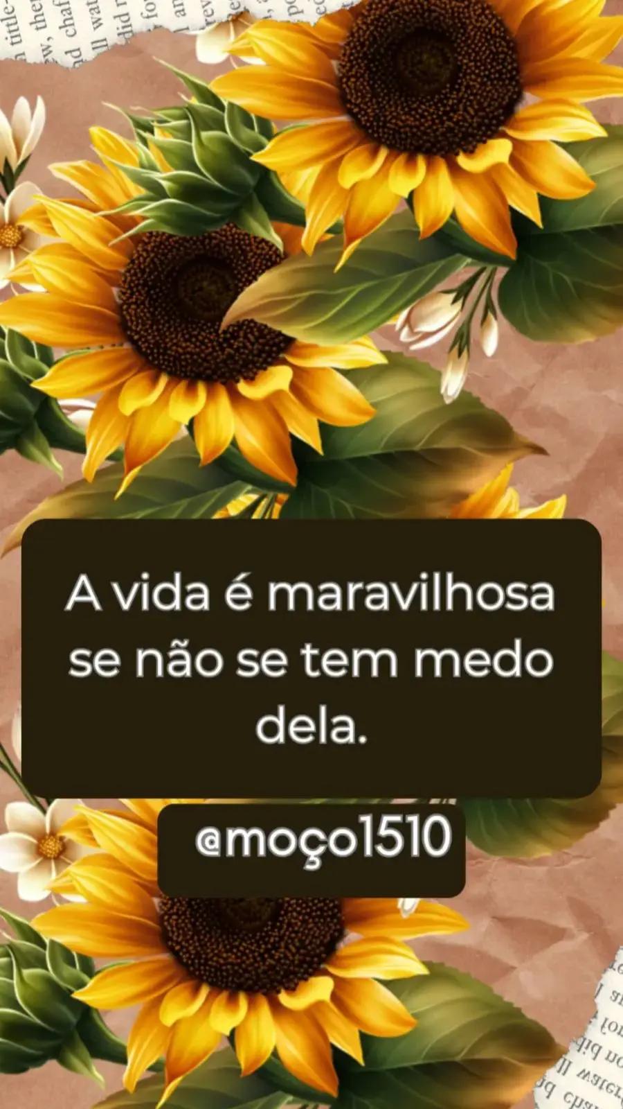 @mo&ccedil;o1510