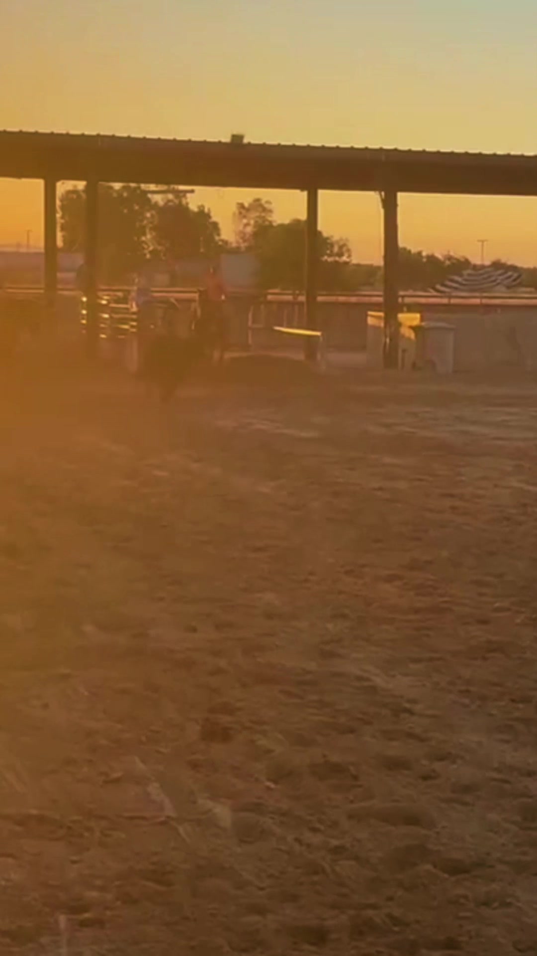 @Cord Forzano Rope Horses