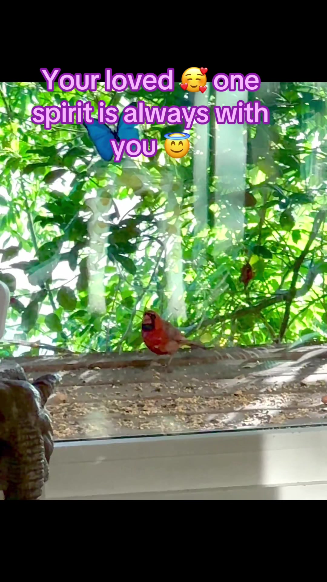 @E🌹
