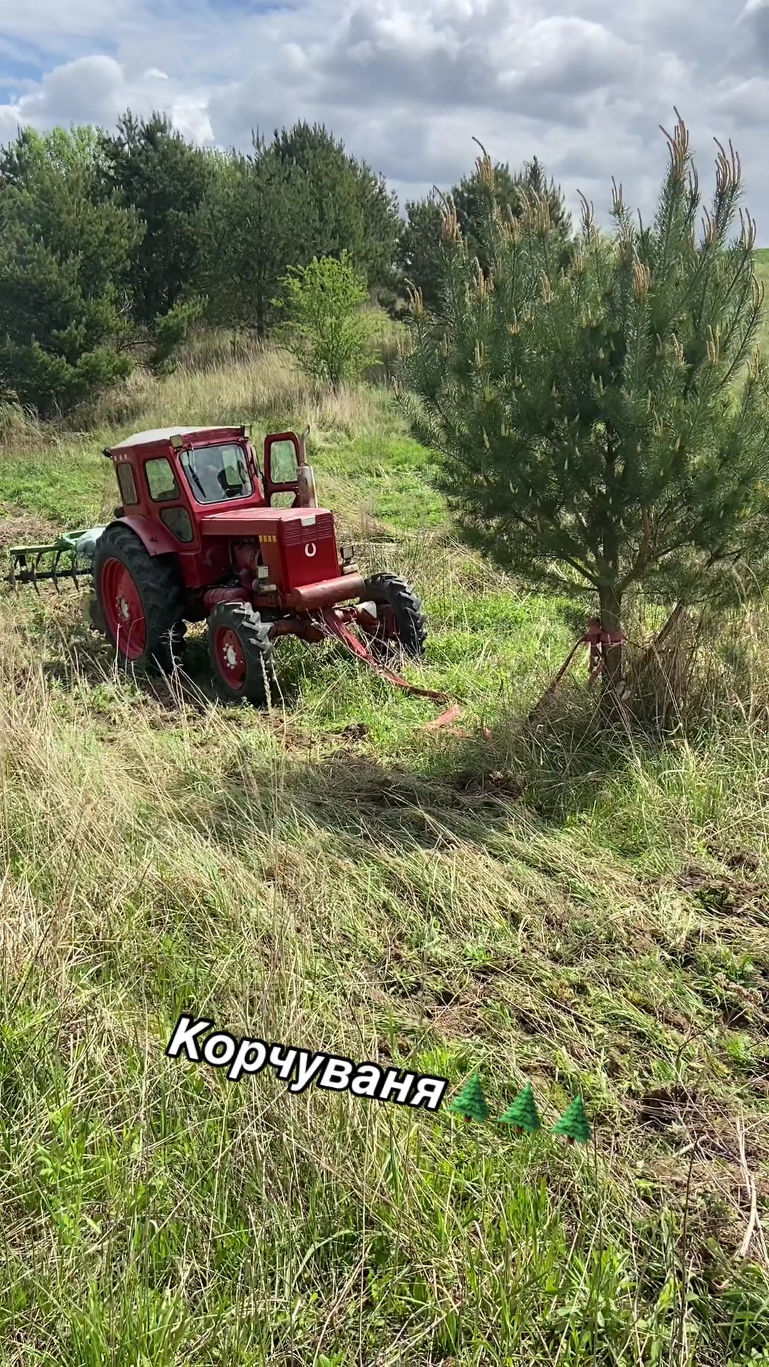 @🌾Богдан🌾