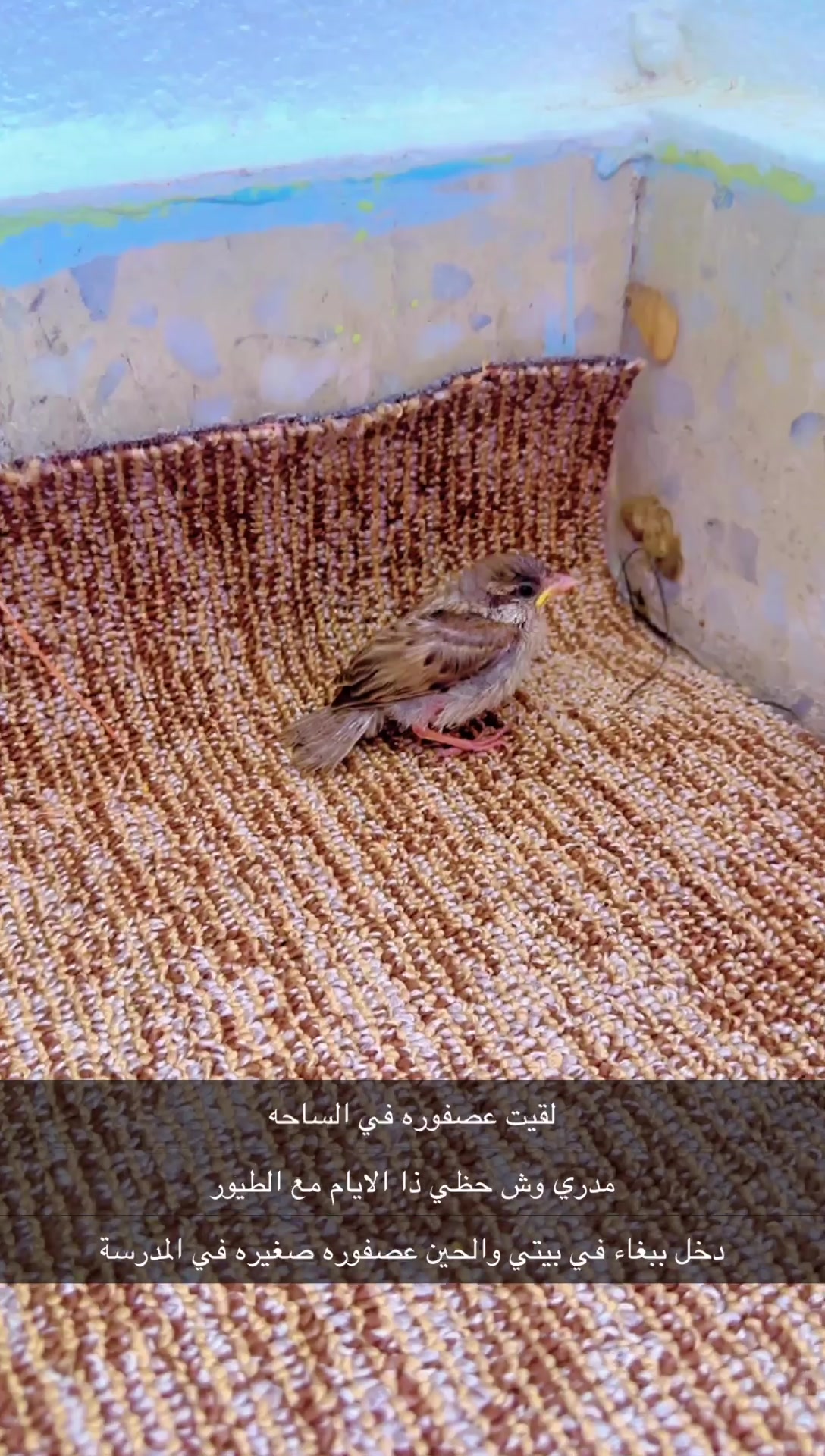 @العسيرية جود أبها🌺