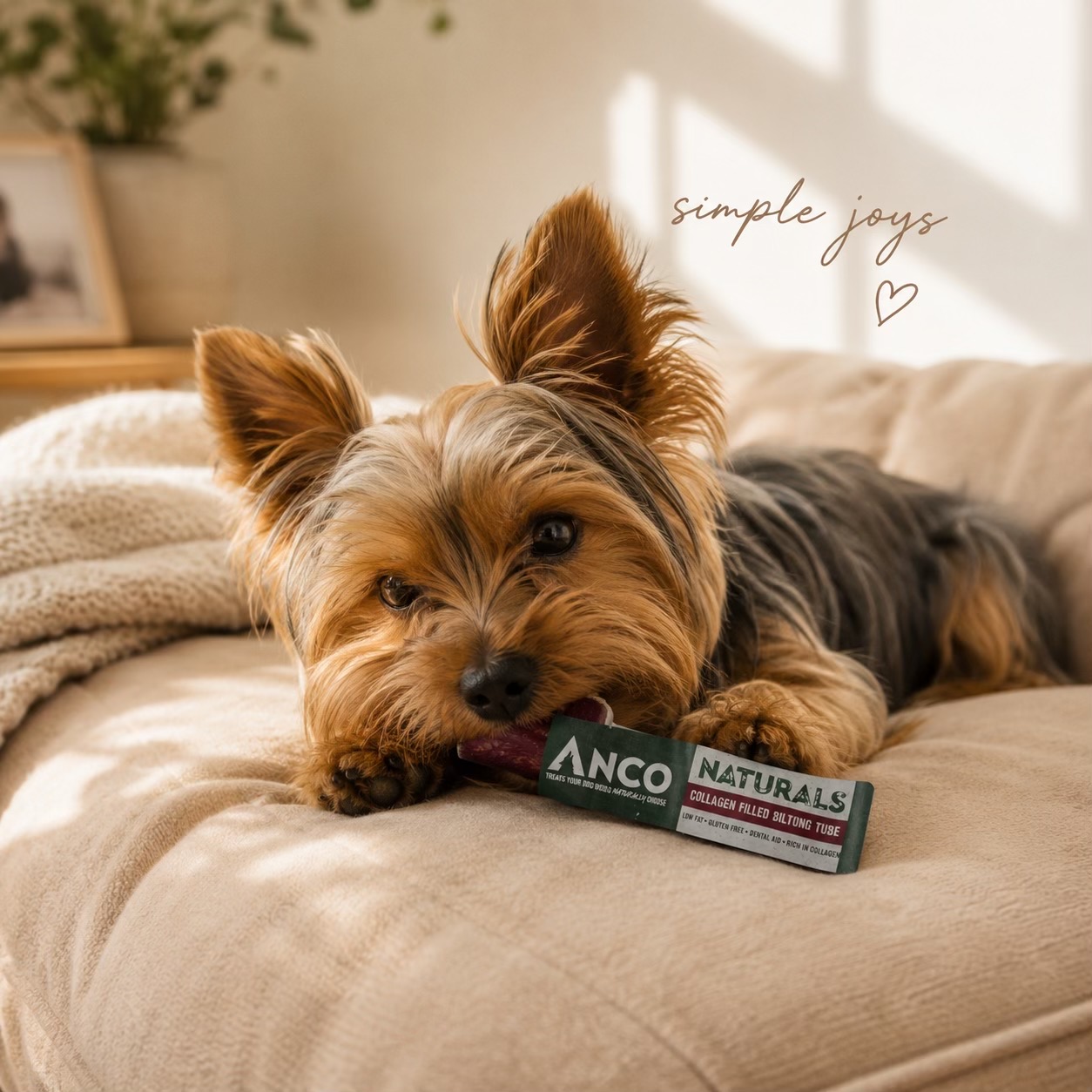 @chowpawsdogtreats