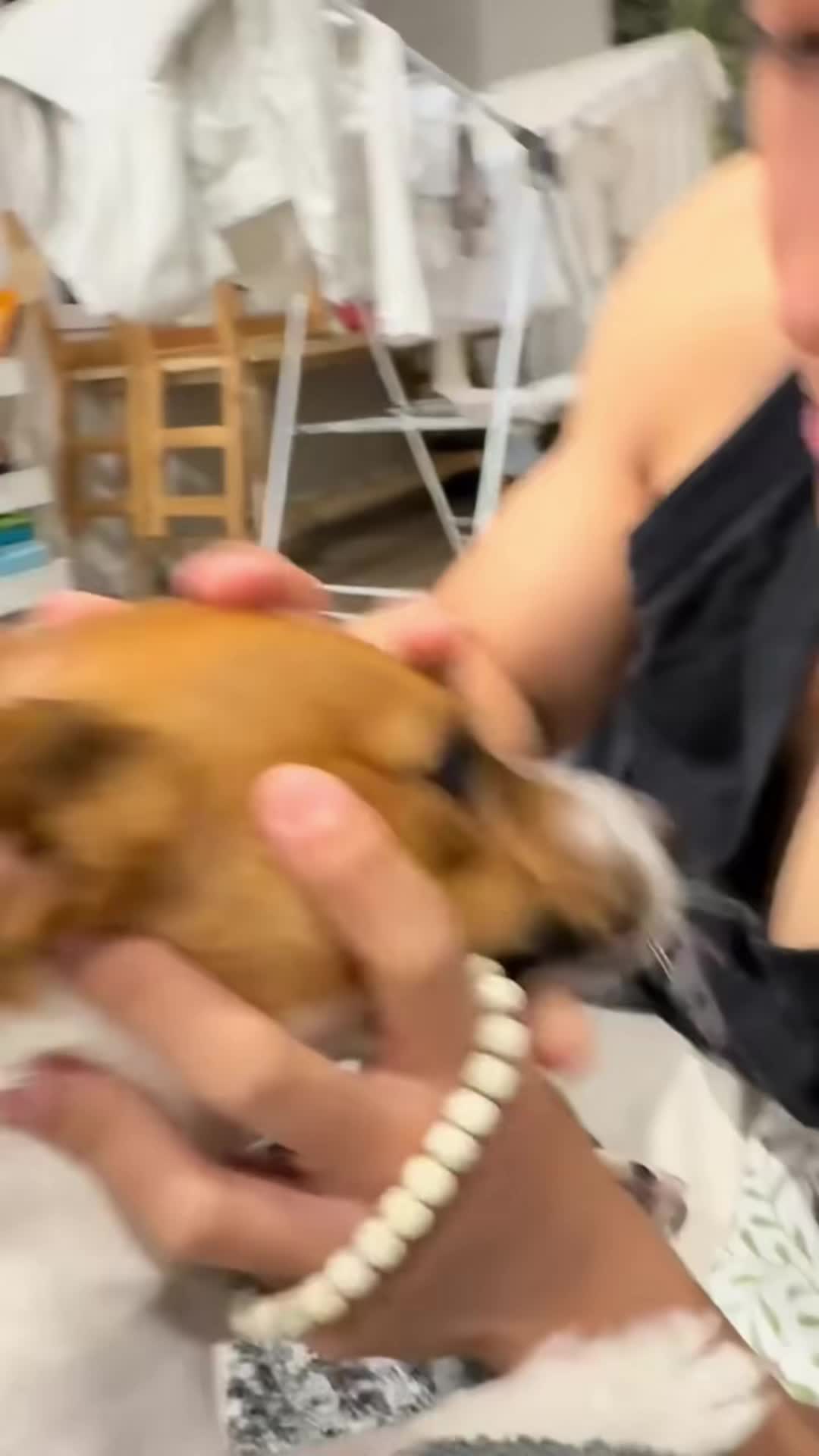 @cuteanimals472