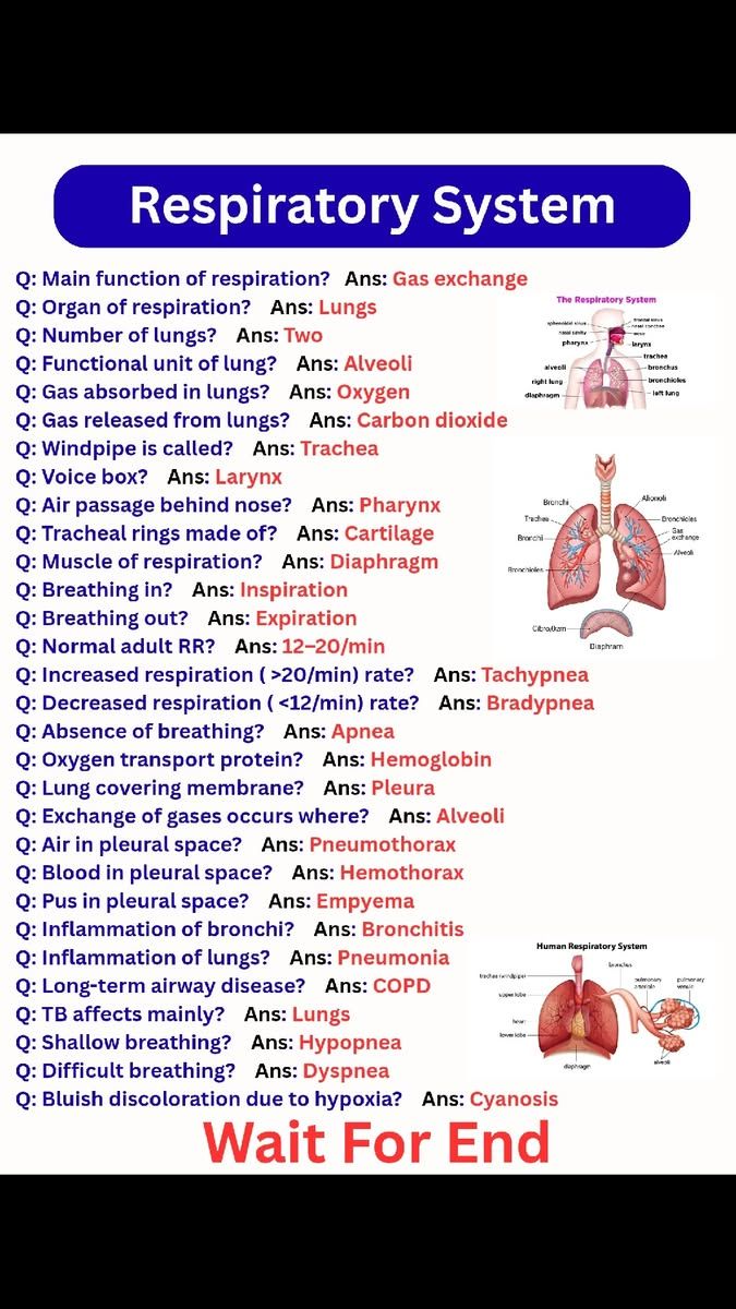 @All_Test_MCQS