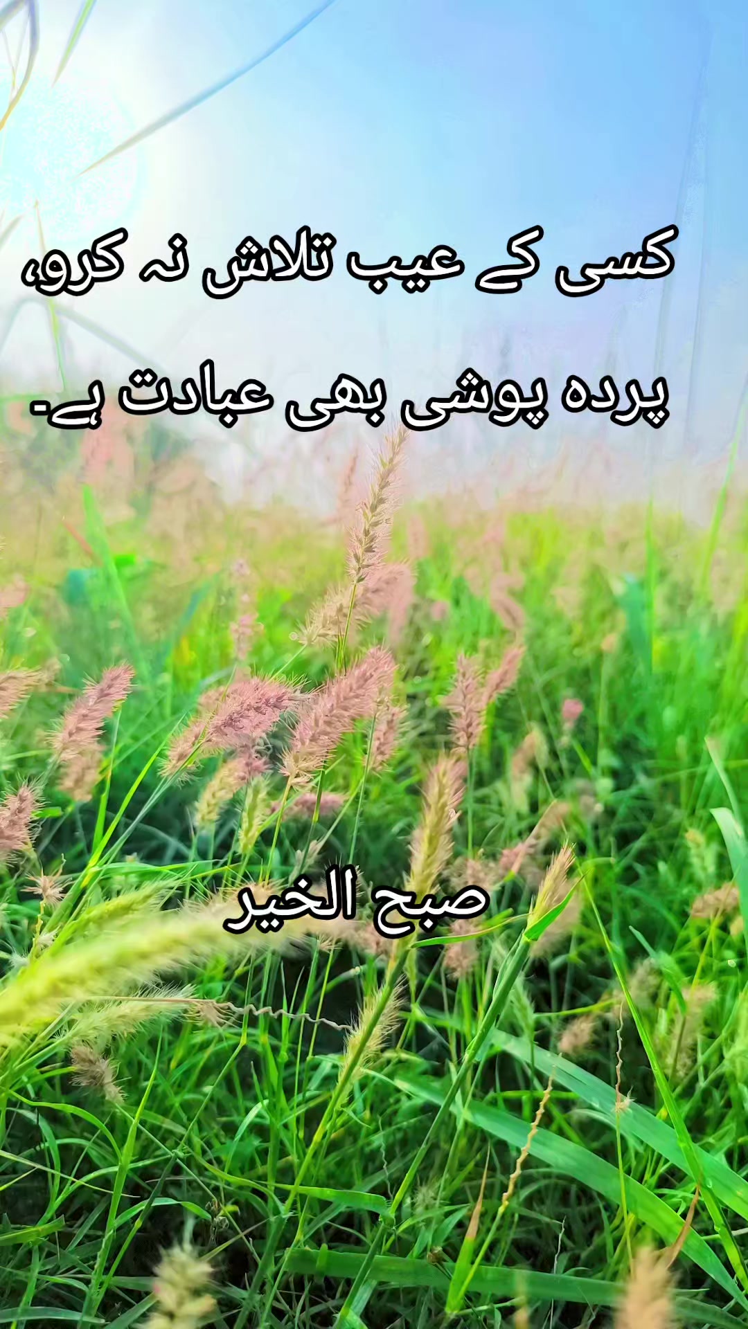 @چکوال کے نظارے