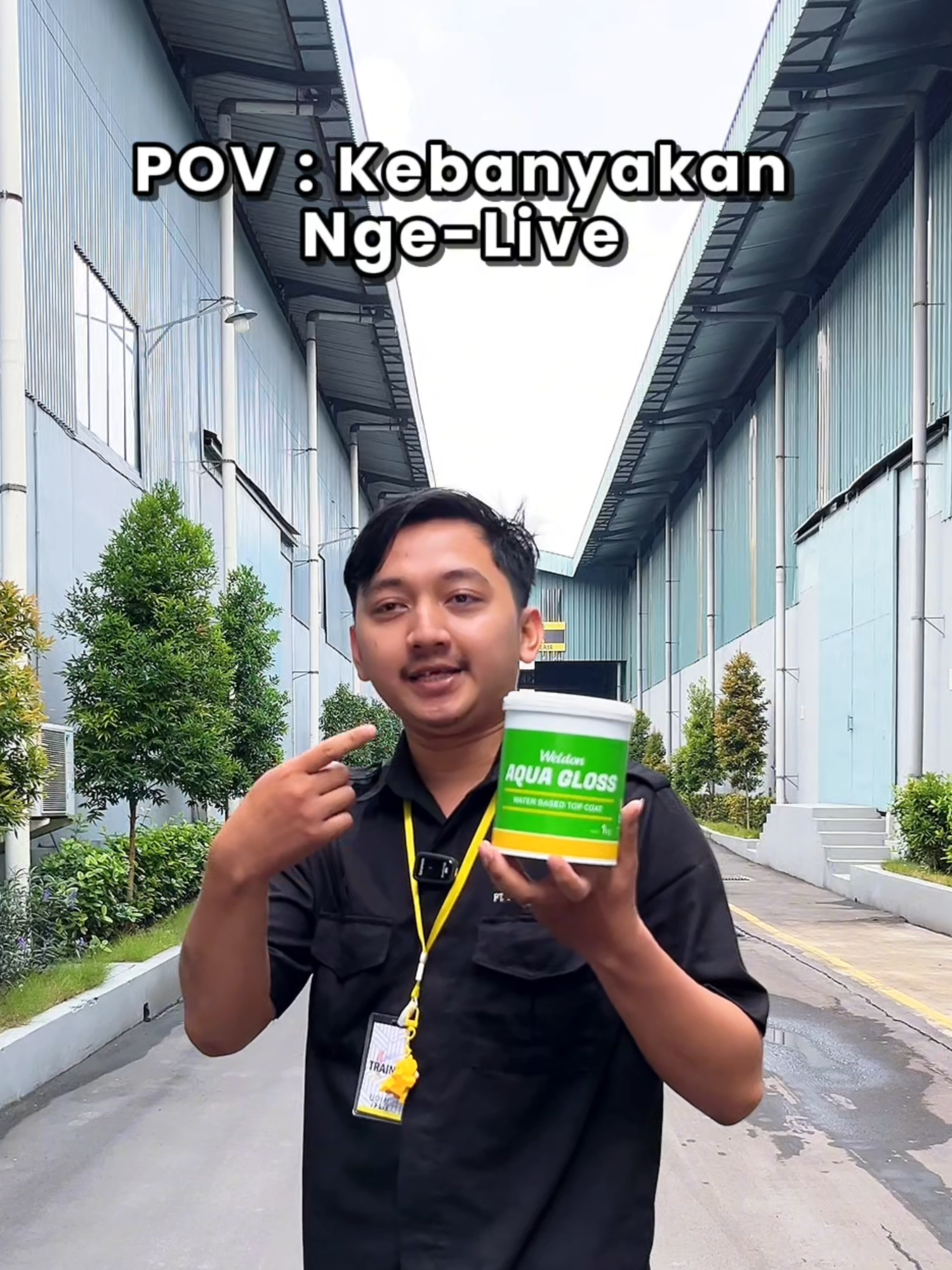@weldonwallpaint