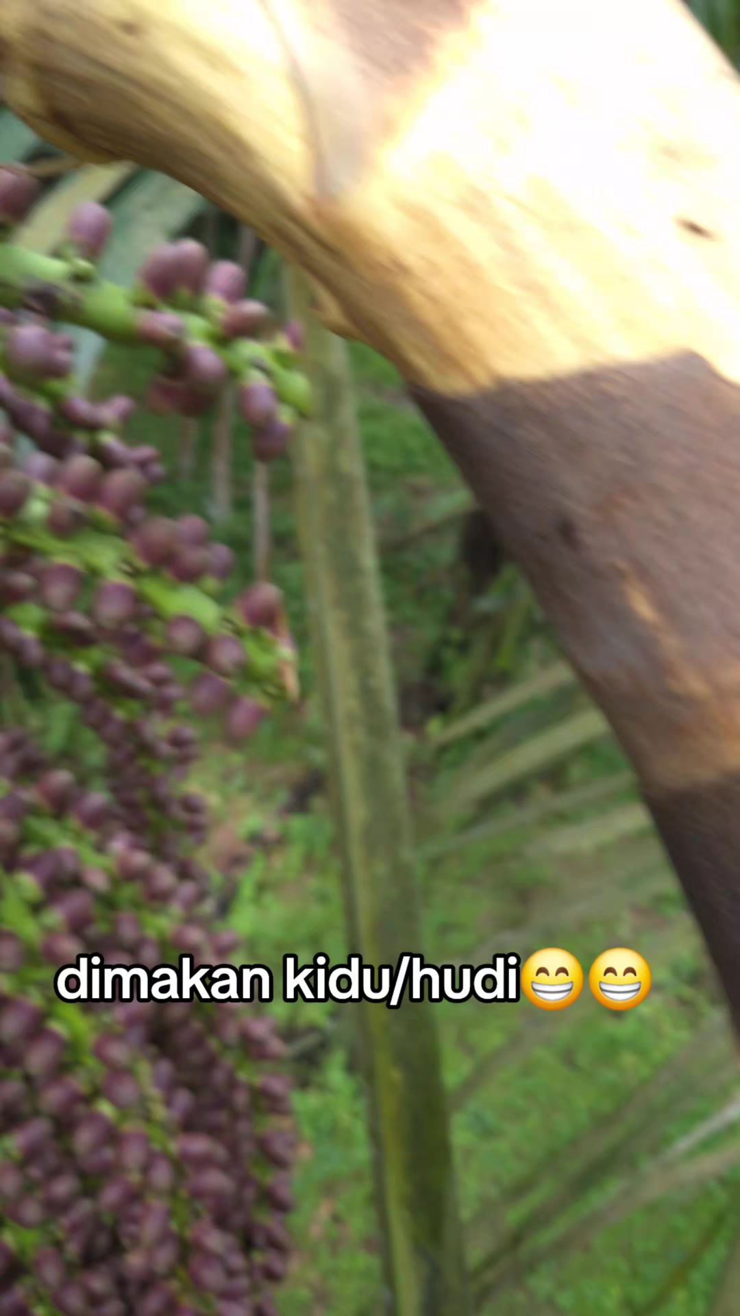 @Tinambunan