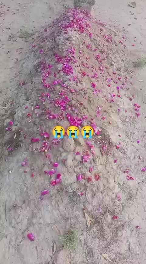 @Atta Ullah Mazar