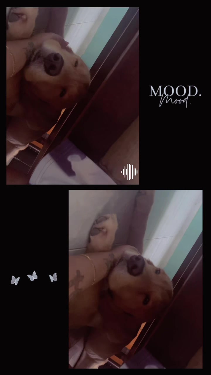 @ǝɔuɐɯoᴚ lnɟǝɓuǝʌǝᴚ 🖤