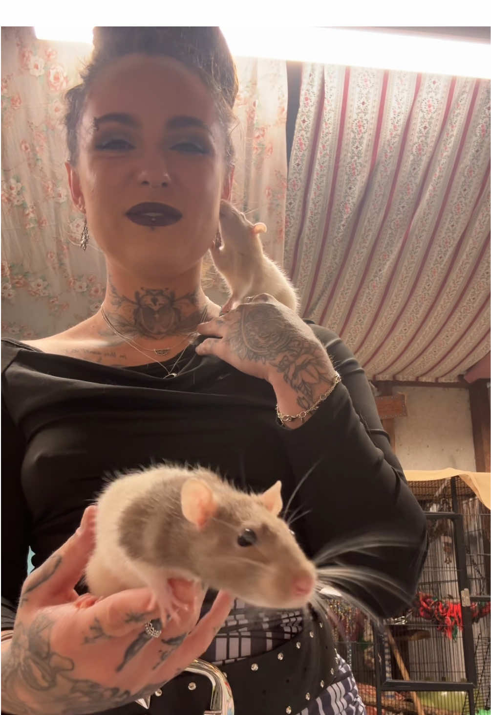 @catmumclaire