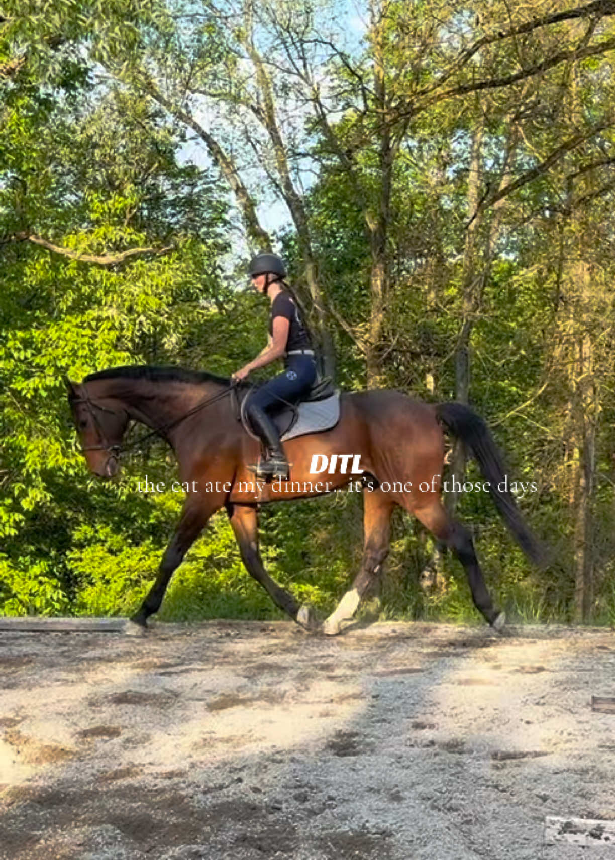 @Lunar Hill Equestrian