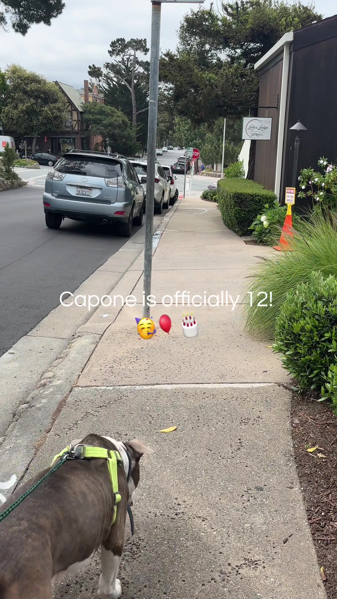 @caponethepitty