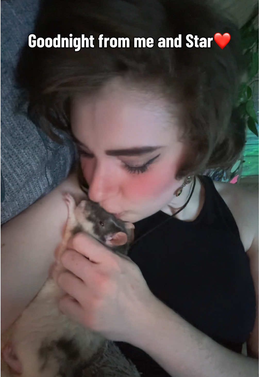 @lookatmyrodents