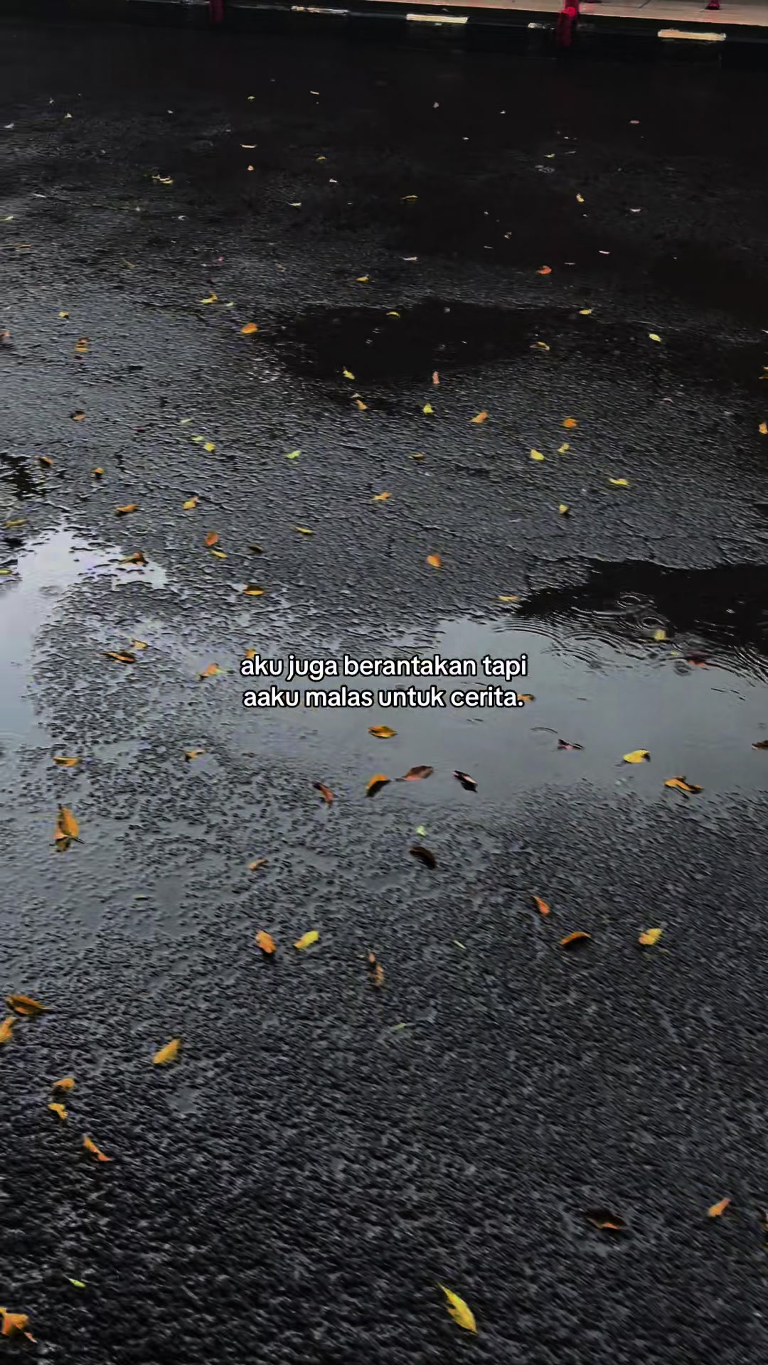 @𝗗𝗶𝗮𝗻𝘆
