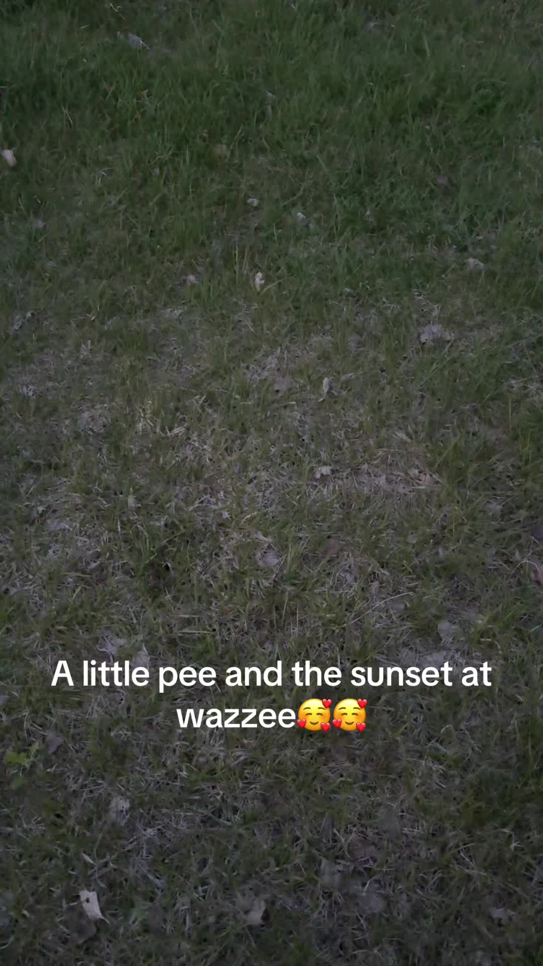 @the_better_brfpisser67