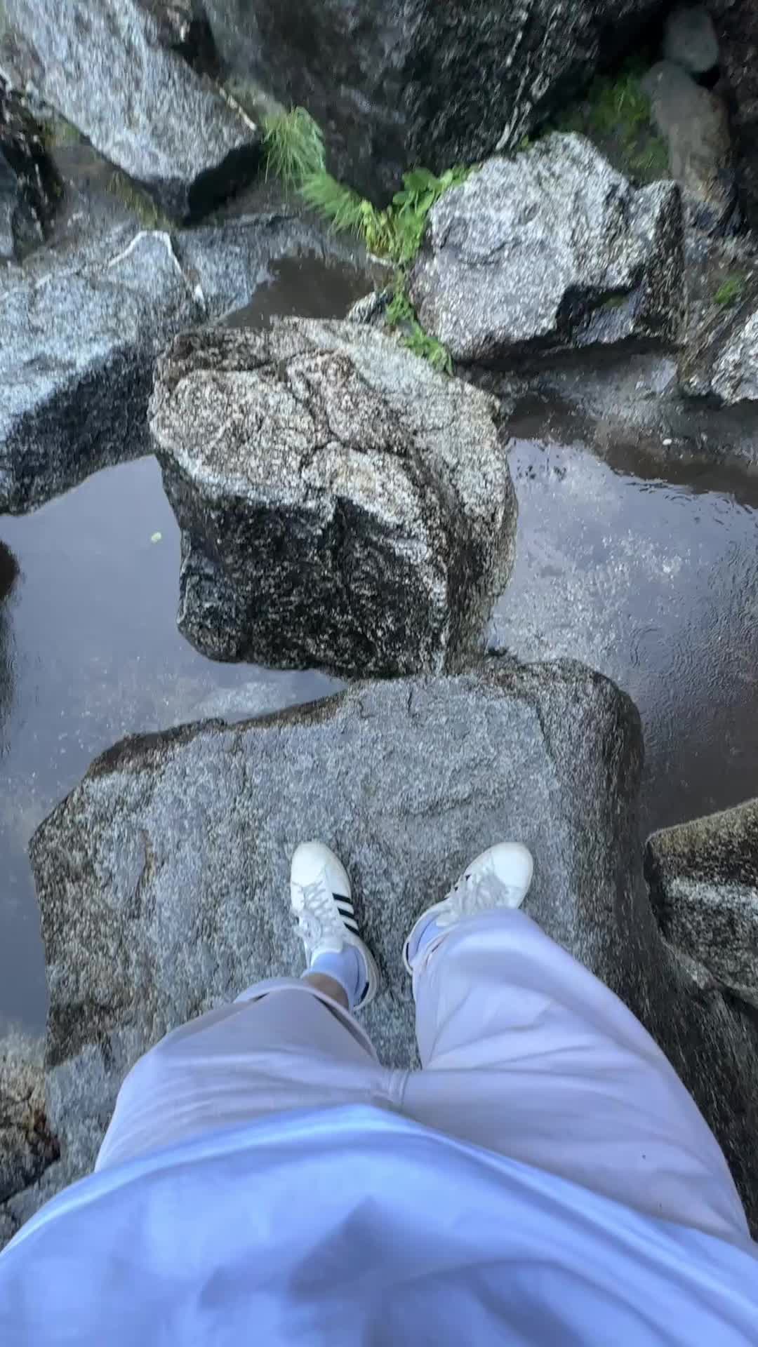 @saisai.onnl