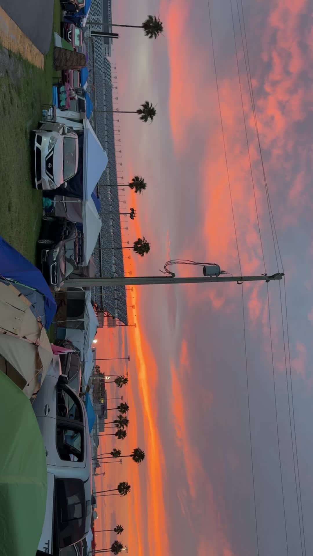 @smcdill2025