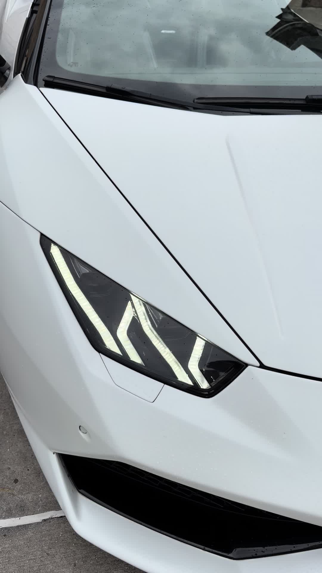 @Champexotics