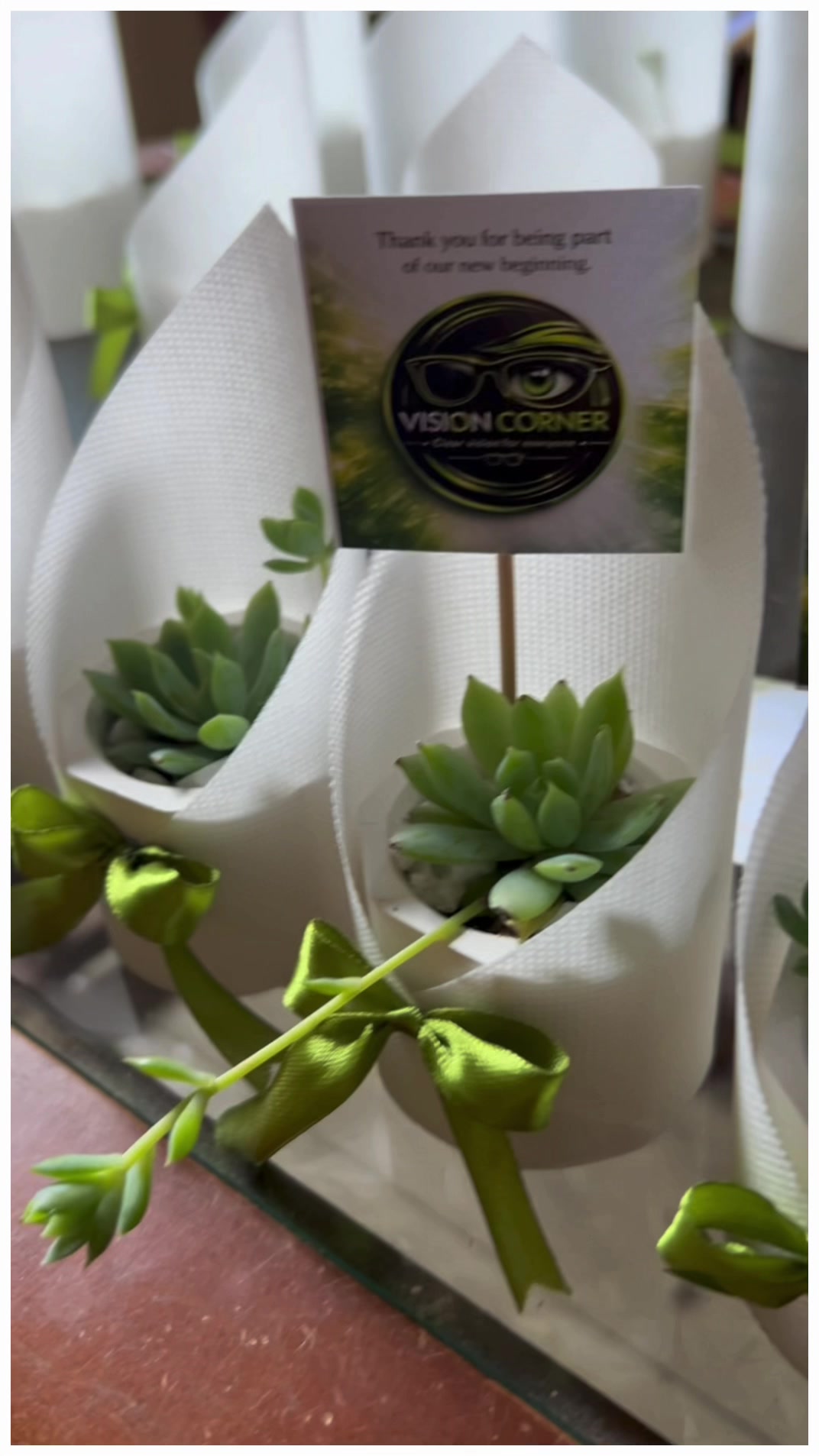 @Happy Plants