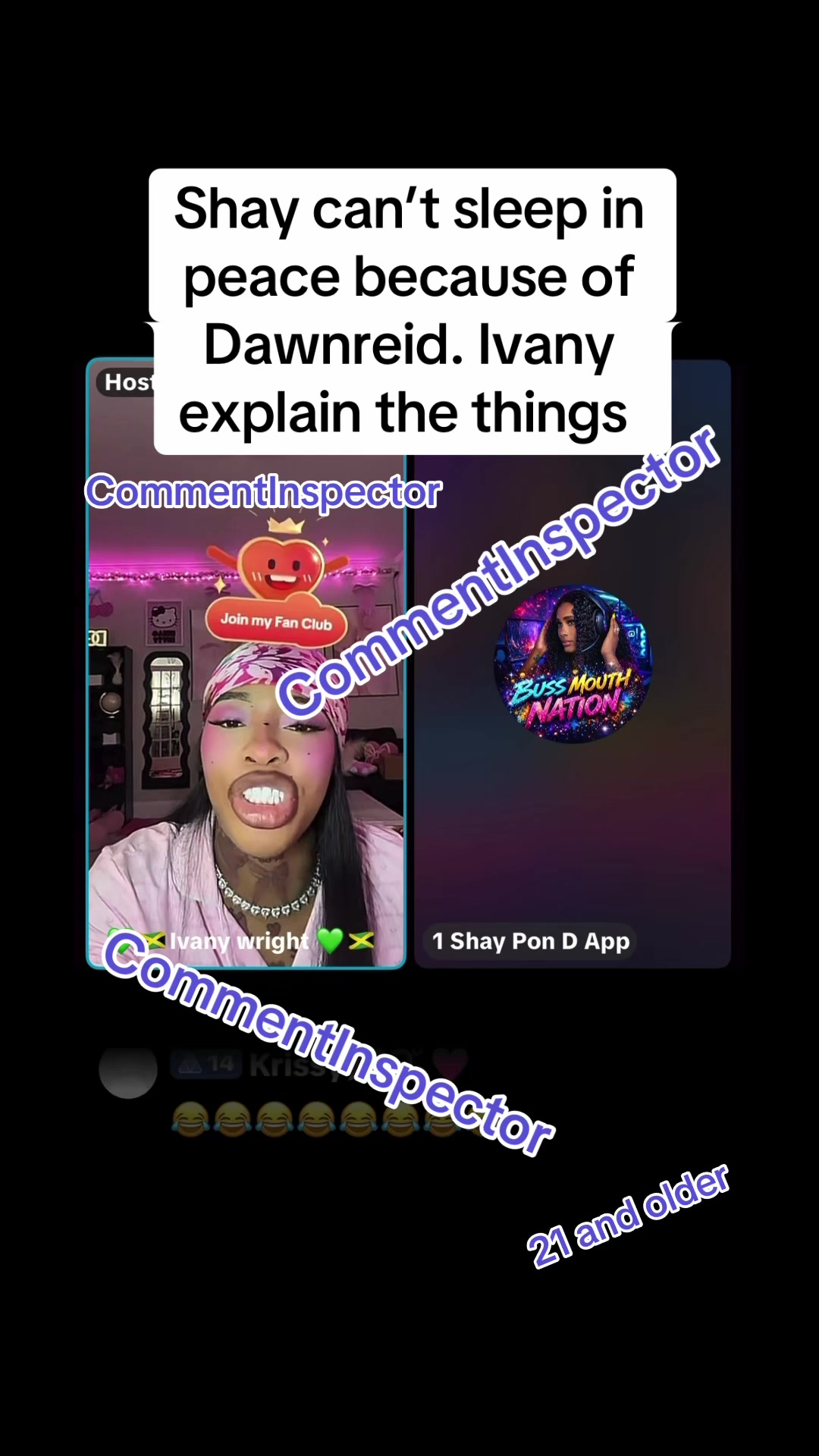 @CommentInspector
