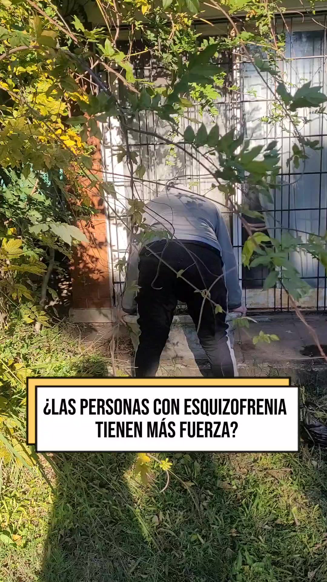 @💥losdosladospsicosis💥