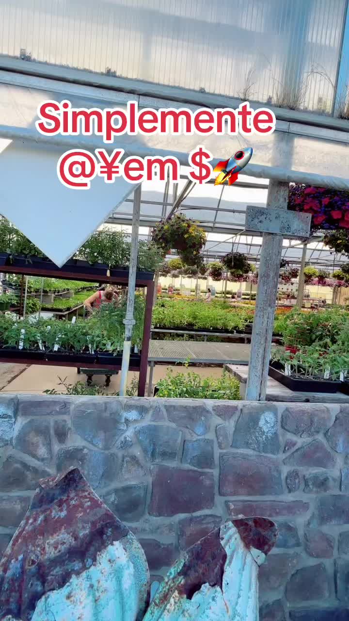 @&yen;em $.🚀